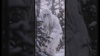 Yeti footage released nightmare yeti beast bigfoot ai [upl. by Rowan]