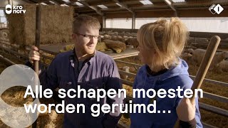 Op bezoek bij Boer Jan en Rianne op Texel  Onze boerderij [upl. by Eblehs]