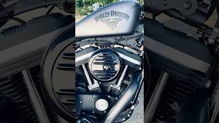 Finally the HD Iron 883 🖤 harleydavidson motorcycle sportster iron883 custom bikelife moto [upl. by Leirej777]