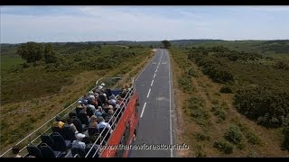 New Forest Tour Bus [upl. by Brandie432]