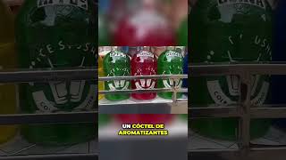 La Verdadera Historia de las gaseosas shorts shortsviral [upl. by Idnem]