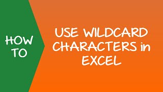 How to Use Wildcard Characters in Excel Examples [upl. by Kelula]