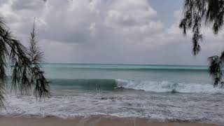 Surf Breaks of Barbados  January 31 2021  Mullins [upl. by Anrim700]