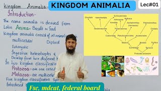 introduction to kingdom animalia  class 11 [upl. by Leventis]