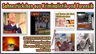 Sähnehäppchen aus Kriminalistik und Forensik hier aus Fällen BODI und FÖGER durch DEN Weltführer [upl. by Hsac]