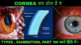 Whats is cornea  cornea in hindi  cornea kya hota hai  anatomy of cornea  eye eyes optometry [upl. by Islehc330]