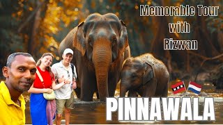 3 Surprising Things I Discovered at Pinnawala Elephant Orphanage [upl. by Amrak374]