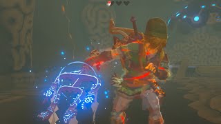 Lets Survive  Zelda  Breath of the Wild  Part 18  Onehit obliterating wonder leads to birds [upl. by Musa906]