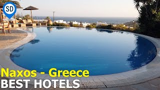 The Best Hotels in Naxos  SantoriniDavecom [upl. by Otcefrep]