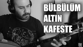 Bülbülüm altın kafeste  Bağlama Enstrümantal [upl. by Bannister]