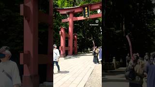 Yahiko Shrine in Japan  A Spiritual Journey in Nature [upl. by Esorlatsyrc]