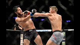 Stephen Thompson vs Jorge Masvidal  UFC 217 Welterweight Bout HD Highlights [upl. by Nylirrej531]