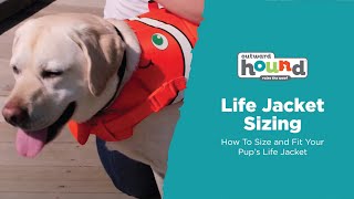 How To Size and Fit Your Outward Hound Dog Life Jacket [upl. by Scarlet117]