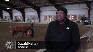 LiveWholeHealth  Psychotherapy Incorporating Horses for Veterans [upl. by Nivaj]