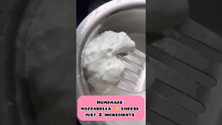 Mozzarella cheese 🧀 making just 2 ingredients cheese manamwithsathya ytshort [upl. by Dudden]