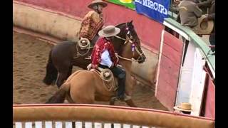 Rodeo Campeones de Chile [upl. by Terryl]