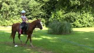 Colonie de vacances Lécurie fantastique  équitation et activités de la ferme [upl. by Tyson242]