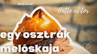 🔴A SÓGOROK FASÍRTJA  a LEBERKÄSE [upl. by Yeltneb623]