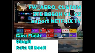 Cara Flash ZTE B860H V2 Aero Custom Support N3flix TV [upl. by Durwin]