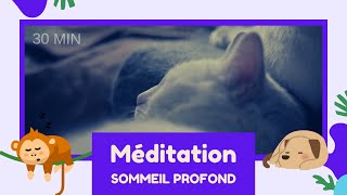 Sommeil Profond  Méditation Guidée de 30 Minutes en Pleine Conscience pour Bien Dormir insomnie [upl. by Walcott398]