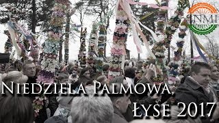 Niedziela Palmowa Łyse 2017 [upl. by Breed]