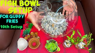 Fish Bowl Setup for my 17 Guppy Fries Guppy Fry Take Care  How to Care Guppy Fry  Fish Bowl Idea [upl. by Norrabal308]