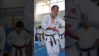 Gojushiho dai kata bunkai [upl. by Meadows808]