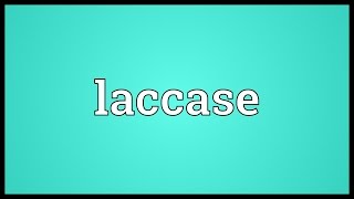 Laccase Meaning [upl. by Notslar]