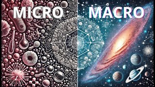 The Micro and Macro A Journey Through the Scales of the Universe [upl. by Dell]