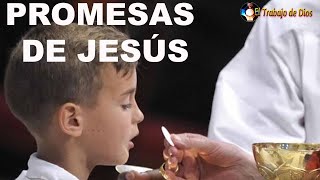 17 Promesas de Jesús  Eucaristía en la boca 💗 no comunión en la mano 🛐 Catalina Rivas [upl. by Aan]