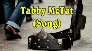 Tabby McTat Song [upl. by Lubow]