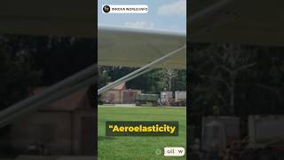 Do you know Aeroelasticity science engineering technology aviation aerospace ytshorts space [upl. by Dedric]