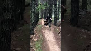 Canyon spectral 125 shreds [upl. by Kaitlynn164]