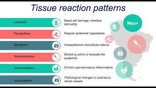 Dermatopathology Basics Inflammatory Patterns [upl. by Favata15]