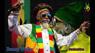 bunny Wailer  Boderation [upl. by Aicemak]