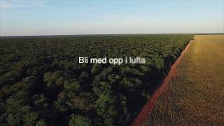 Et overblikk av regnskogen  REMA 1000  Palmeolje [upl. by Ezar]