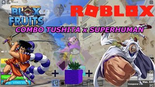 ROBLOX  DÙNG THỬ COMBO TUSHITA SUPERHUMAN ĐỂ PVP VÀ CÁI KẾT CỦA CÂU CHUYỆN ĂN MÌ Ý  BLOX FRUIT [upl. by Adnic]