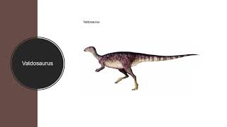 Prehistoric Facts Special 231 Valdosaurus [upl. by Tarkany]