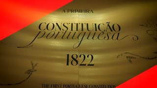 Revisão Constitucional Conheça a visão do PSD [upl. by Robena]