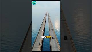 El Puente Más Largo de Estados Unidos Lake Pontchartrain Causeway curiosidades sabiasque [upl. by Yard]