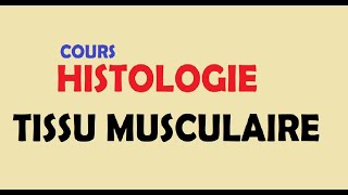 cours HISTOLOGIE Ep3  Tissu musculaire [upl. by Xantha579]