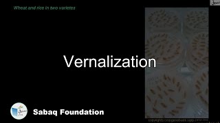 Vernalization Biology Lecture  Sabaqpk [upl. by Erv]