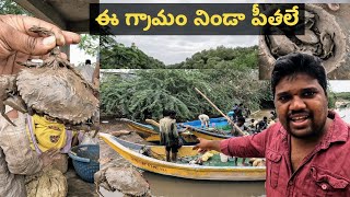 ఈ గ్రామం నిండా పీతలే  పీతలు మార్కెట్ పెదవలసల part2 pedavalasa crabs market in East Godavari [upl. by Aicekat]