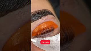 Lash lift tutorial beautiful beauty lashes lashlift shorts youtubeshorts shannonboyleart [upl. by Adnaerb]