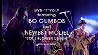 BO GUMBOS amp SOUL FLOWER UNION LIVE 夢の中 [upl. by Grim]