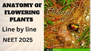 Anatomy of flowering plants Ncert line by line [upl. by Demah]