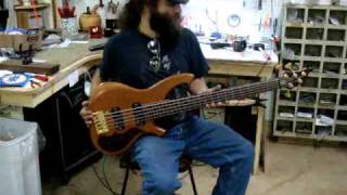 Birdsong Guitars HY5 Short Scale 5 String Bass [upl. by Avek]