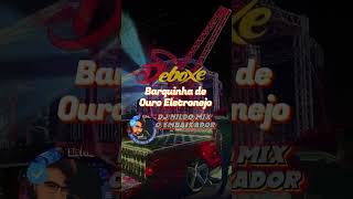 Barquinha de Ouro Eletronejo Remix shorts sertanejoremix [upl. by Gruver]