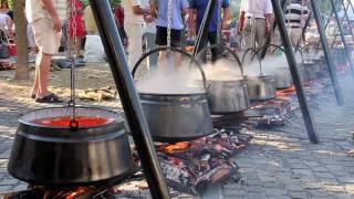 Bajai Halfőző Fesztivál 2010 [upl. by Irrac]