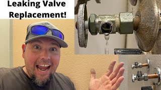 How to Replace a Leaking Shutoff Valve Under a Sink [upl. by Edurtreg]